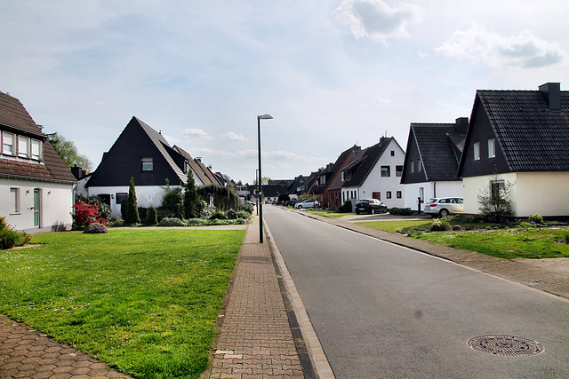 Piepenbringstraße (Lünen-Altlünen) / 13.04.2024