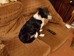 wpd[25] / BtC[25] - watching TV {1 of 5}