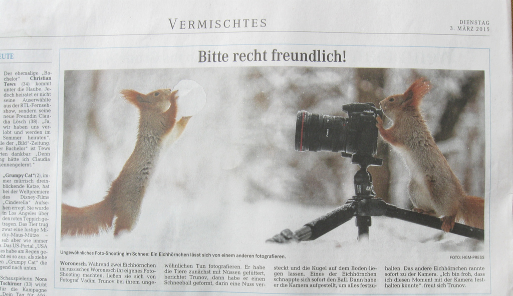 Und wo wir gerade von Winterfreuden sprechen...