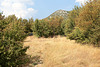 Nationalpark Paklenica - Der Weg von Jurline in südlicher Richtung