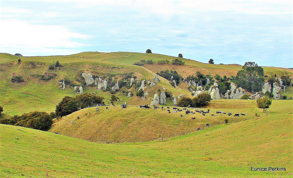 South Waikato Rock Formations
