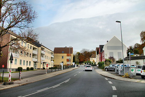 Vormholzer Straße (Witten-Herbede) / 6.11.2021