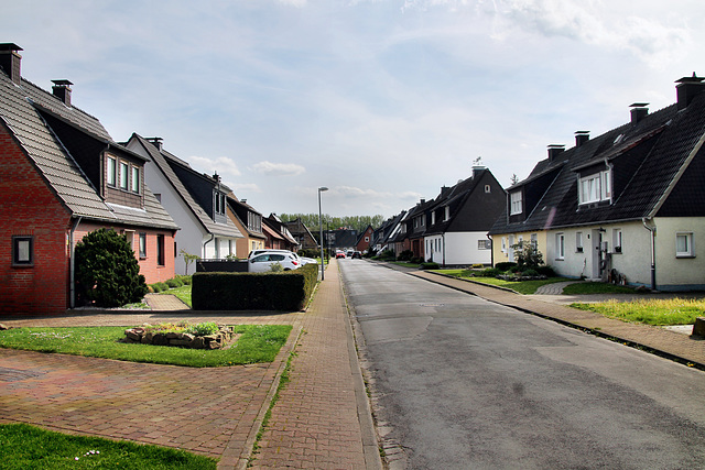 Hermann-Löns-Weg (Lünen-Altlünen) / 13.04.2024