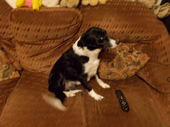 wpd[25] / BtC[25] - watching TV {2 of 5}