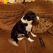 wpd[25] / BtC[25] - watching TV {2 of 5}