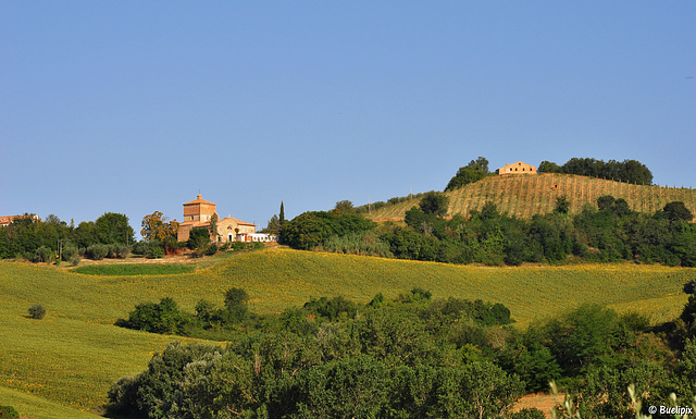 Blick zur Santa Maria della Fede  (© Buelipix)