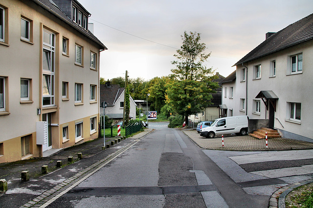 Angerweg (Wülfrath-Rohdenhaus) / 8.10.2017