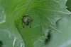 DSCF5285