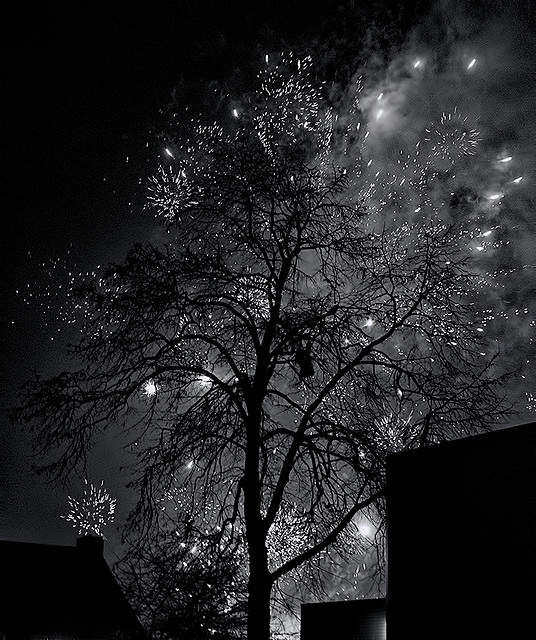 Fireworks tree