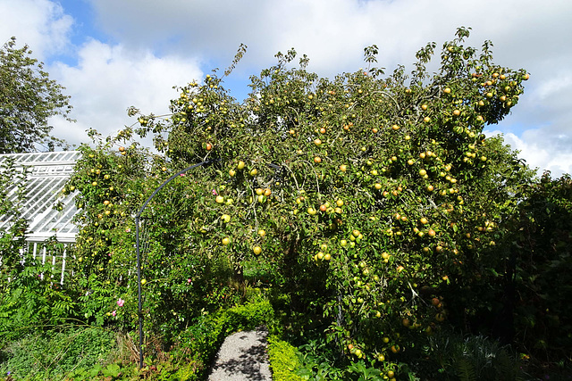 Broughton House Gardens