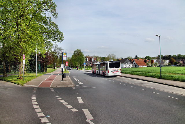 Wehrenboldstraße (Lünen-Altlünen) / 13.04.2024