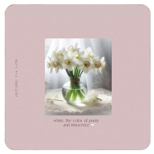 white daffodils