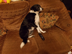 wpd[25] / BtC[25] - watching TV {3 of 5}