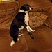 wpd[25] / BtC[25] - watching TV {3 of 5}