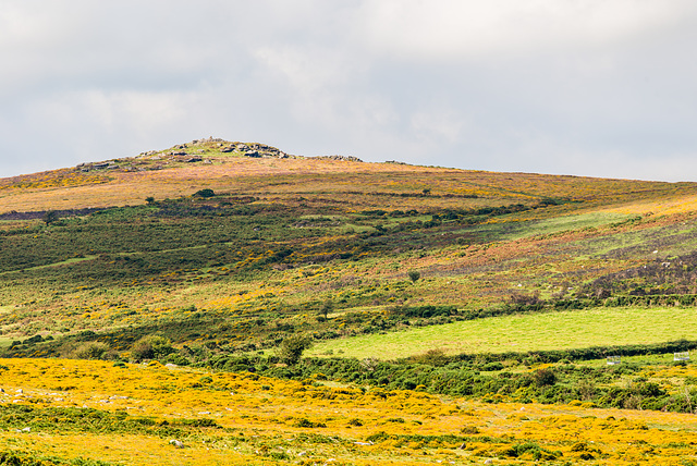 Dartmoor - 20150831