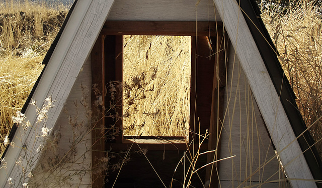 Window with view of grass