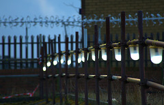 Fences....Light,Bright And Dark