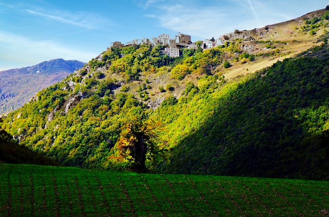 Der Baum - Località San Pietro