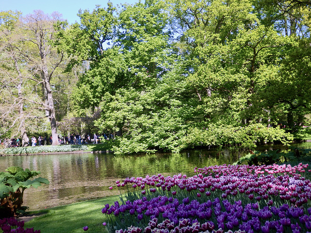Spring View