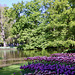 Spring View