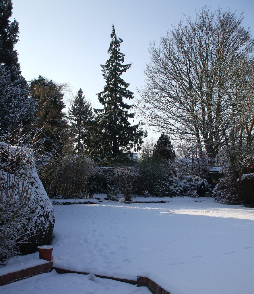 Fulbourn garden 2012-02-10