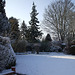 Fulbourn garden 2012-02-10