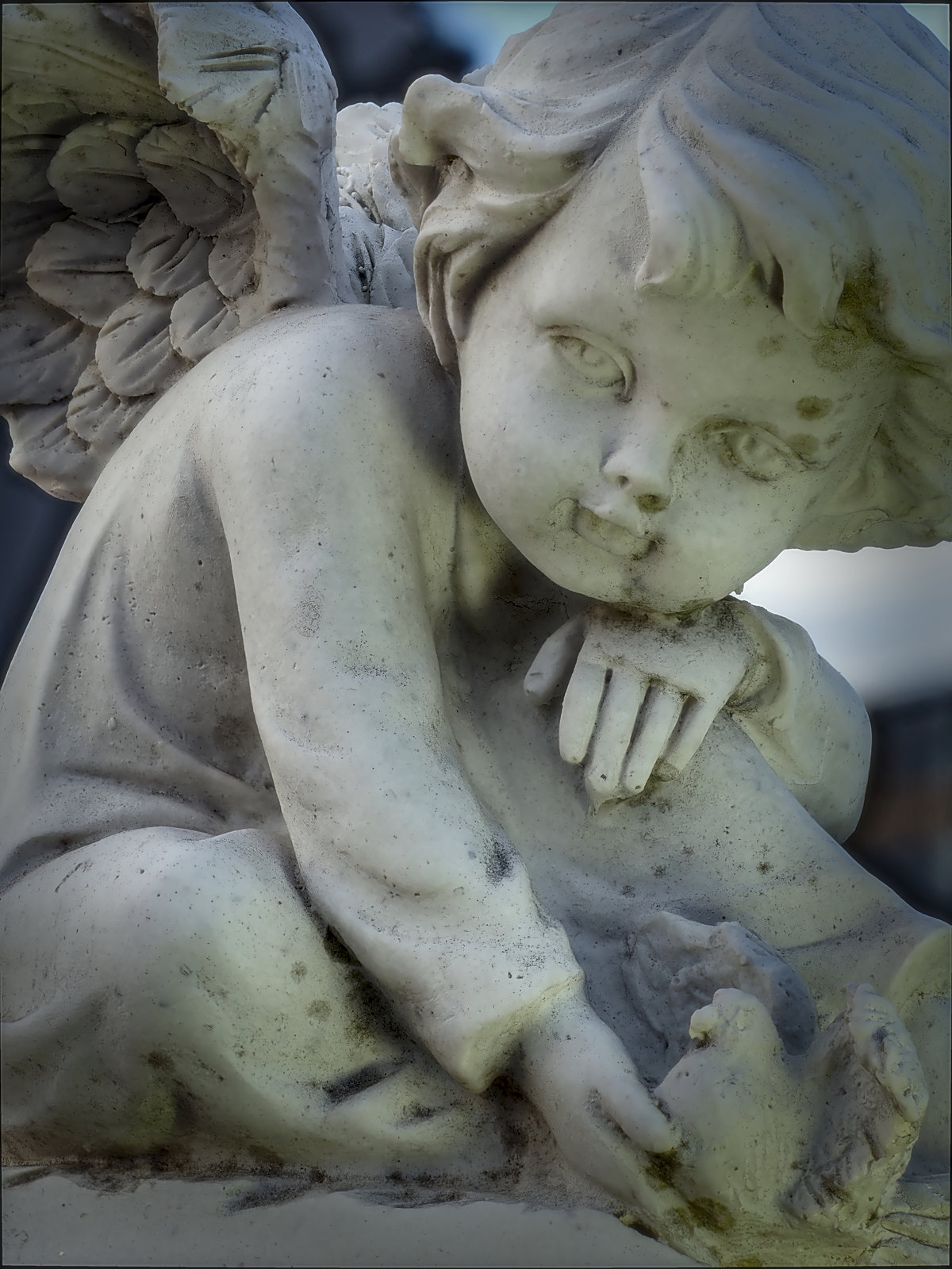 "Przysmak & Care", Angel Series --- 2020