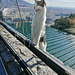 Athens 2020 – Cat demanding food