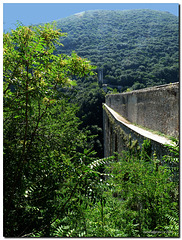 Sopra il ponte delle Torri