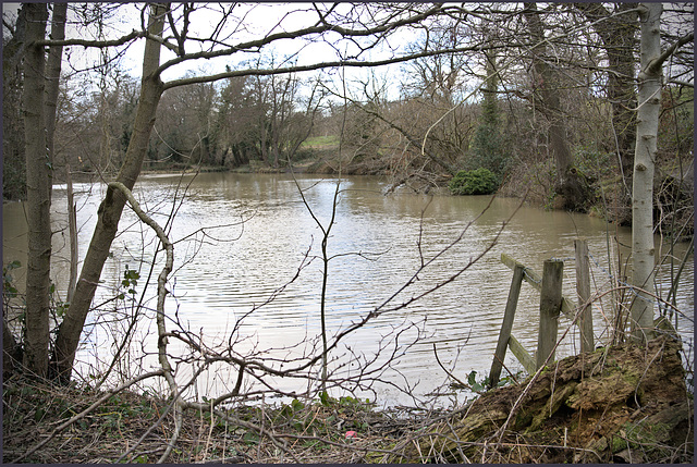 A  ''HFF''  to everyone..... from Dj... at  Ye' olde' pond.