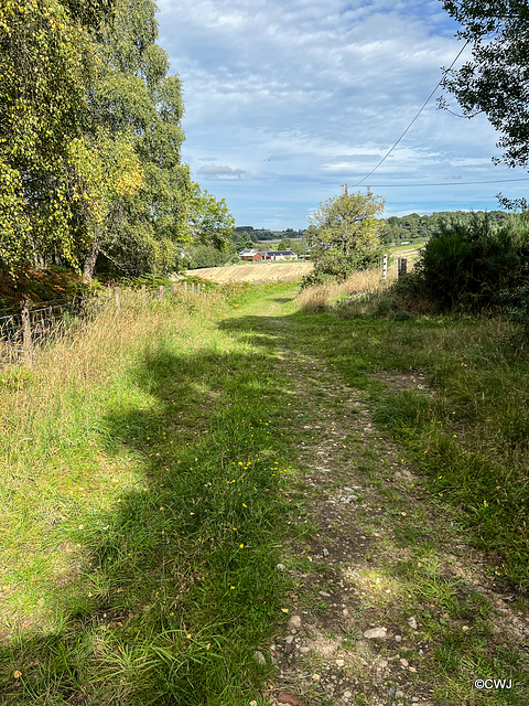 ON the track home from the Rafford woods