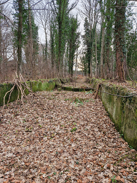 Remains of the old Fochabers Canal