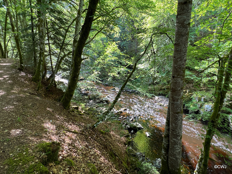 At some points the river is a sheer drop of a hundred feet below the cliffedge path