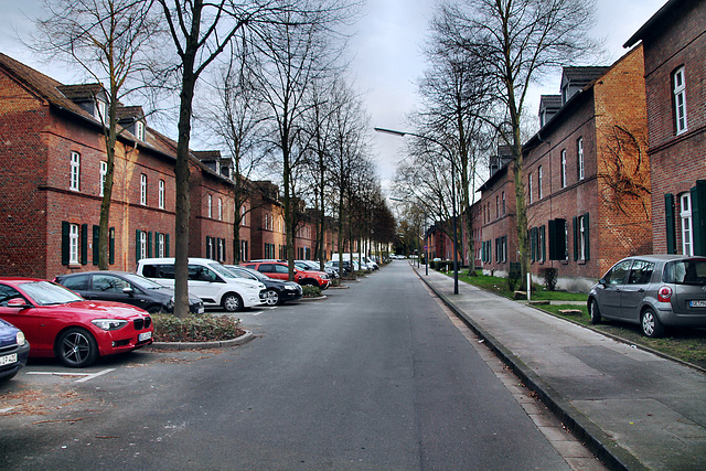 Wallstraße, Zechensiedlung (Gelsenkirchen-Horst) / 2.03.2024