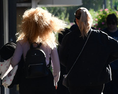 Ponytail and Fan