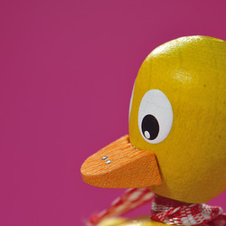 Schnatterinchen 1/50 Schnatterinchen 1/50