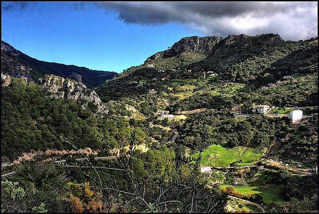 Casares