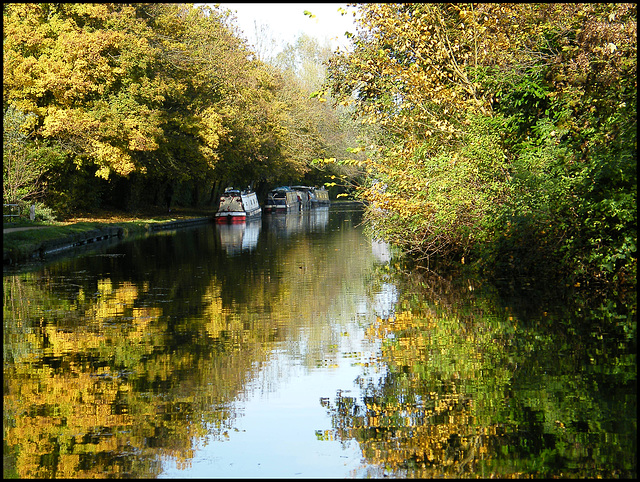 golden autumn on the canal