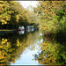 golden autumn on the canal