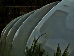 Poly Tunnel.Byker City Farm