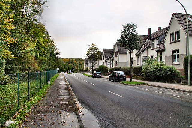 Flanderbacher Straße (Wülfrath-Rohdenhaus) / 8.10.2017