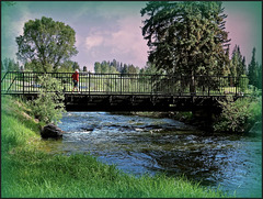 Creek near 100 Mile House, BC