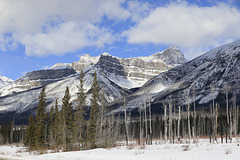 Saskatchewan Crossing