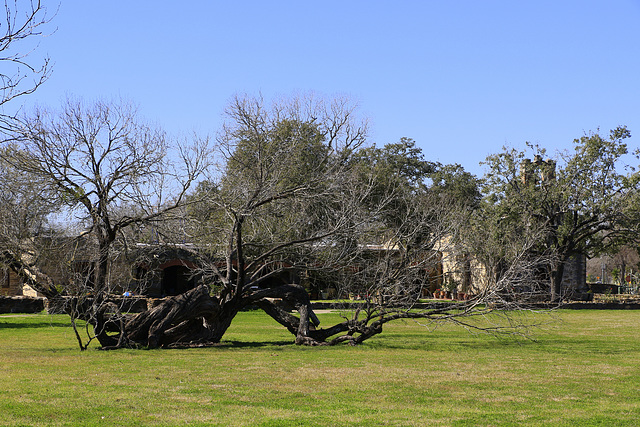 Mission Espada