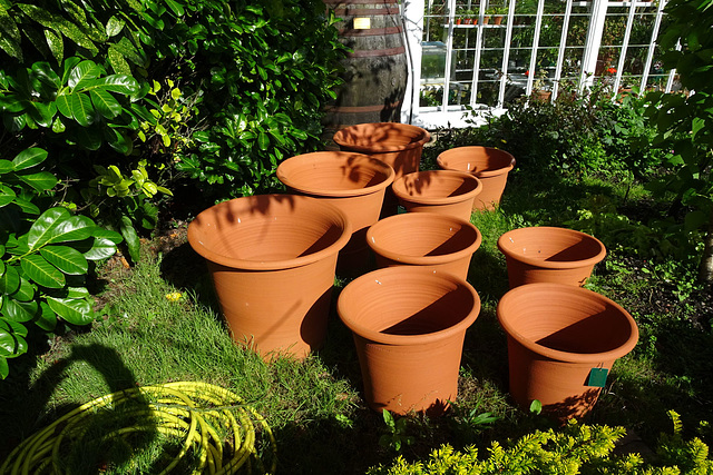 Flower Pots At Kirkcudbright