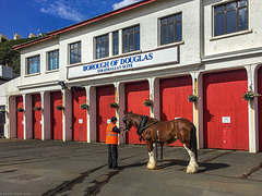 dht[18] / IoM[2] - Strathallen car sheds