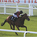EF7A5569 Horse racing