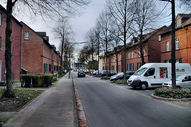 Wallstraße (Gelsenkirchen-Horst) / 2.03.2024