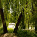 Mittags im Park