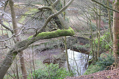 Park Hall Pools